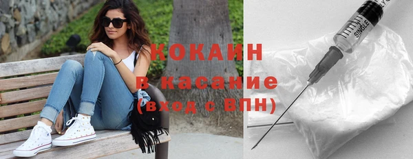 шишки Медвежьегорск