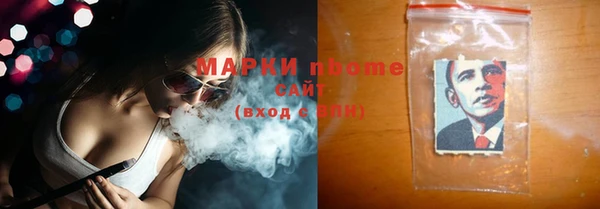 шишки Медвежьегорск