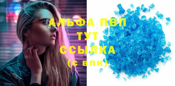 шишки Медвежьегорск