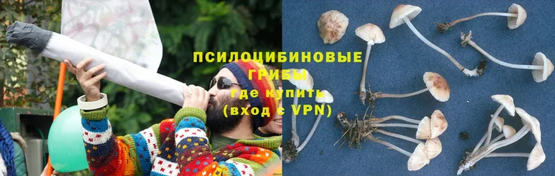 Галлюциногенные грибы MAGIC MUSHROOMS  как найти закладки  Нижняя Тура 