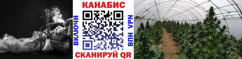 Каннабис план  Нижняя Тура 